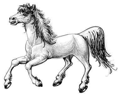 Horse sketch clipart