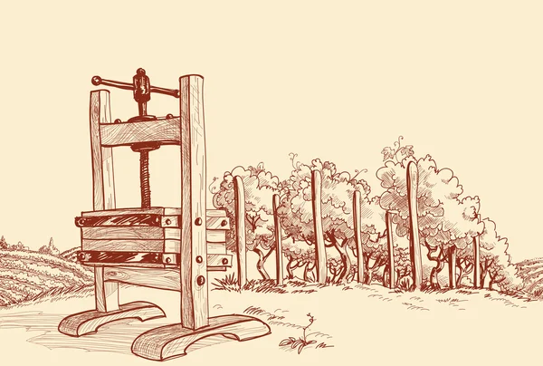 Виноградник и векторная иллюстрация из дерева — стоковый вектор