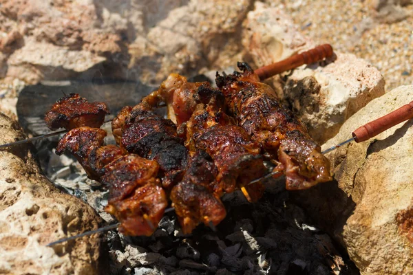 나무 석탄에 돼지고기 꼬치 — 스톡 사진