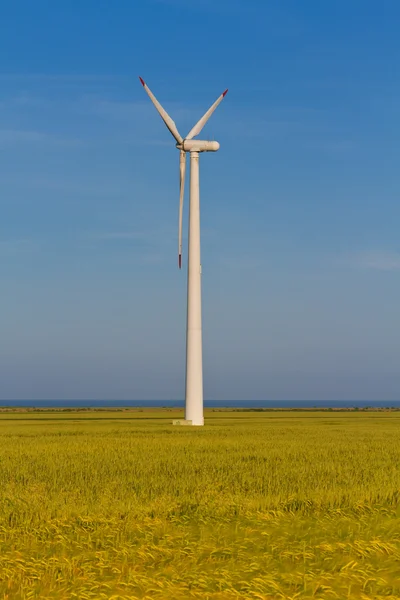 Wind power generator op tarweveld — Stockfoto