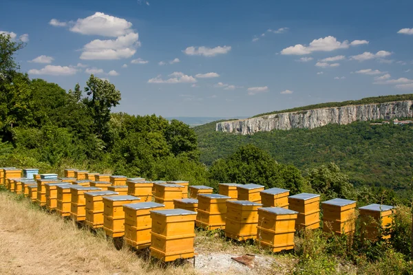 stock image Yellow beehives in line