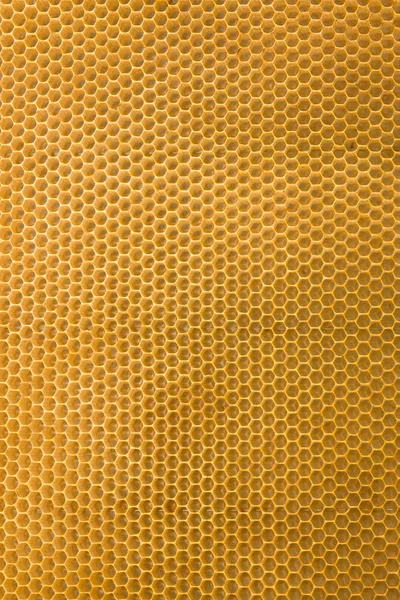 Textura em favo de mel — Fotografia de Stock