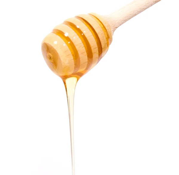Miel en bâton de bois — Photo
