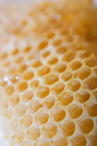 Honungskakor celler — Stockfoto