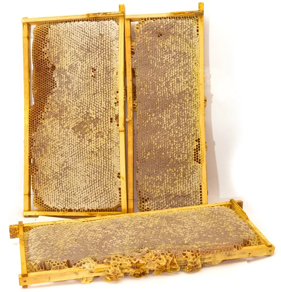 Honungskakor — Stockfoto
