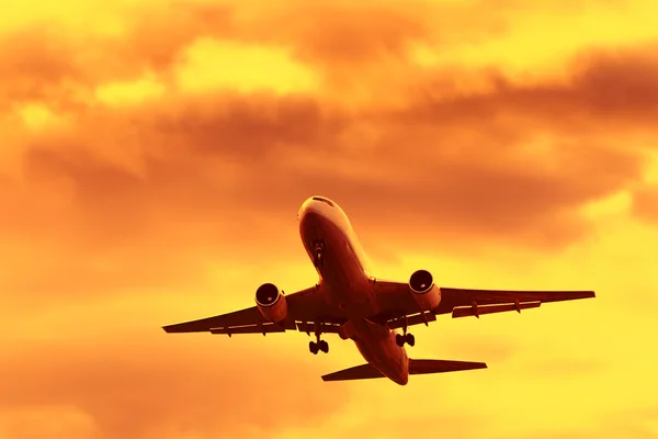 stock image Flight At Sunset Time