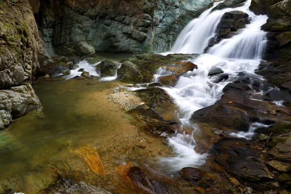 stock image Gaio De La Pena Overview