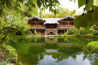 Large Amazonian Forest Hut