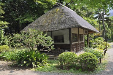 Japon hut