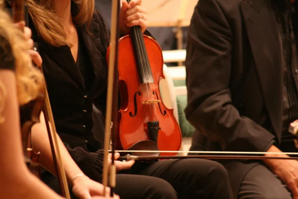 Violin in musician arms in classic music concert — Stock Photo, Image