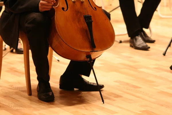 Contra-bass in classic concert — Stock Photo, Image