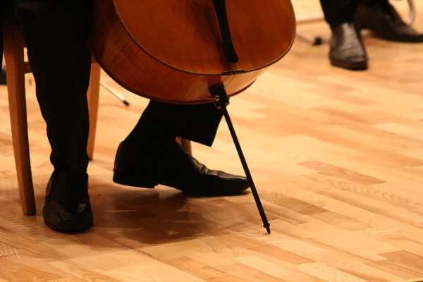 Контрабас в классическом концерте — стоковое фото