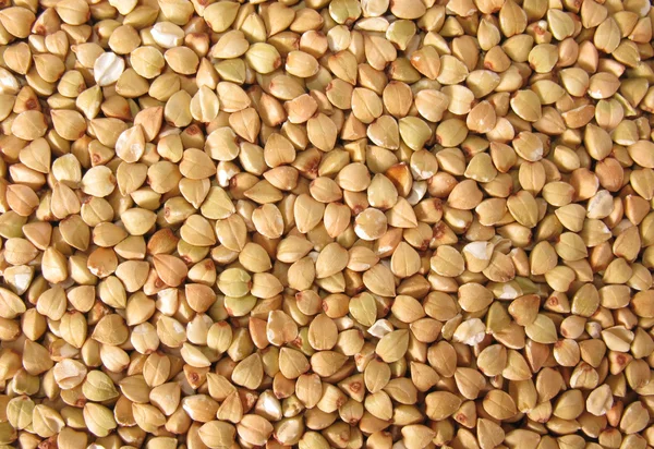 stock image Buckwheat