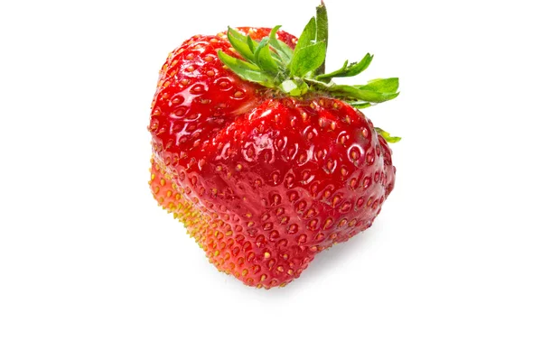 Enda stor jordgubbe — Stockfoto