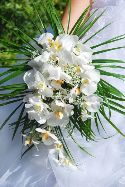 Wedding orchid bouquet — Stock Photo, Image