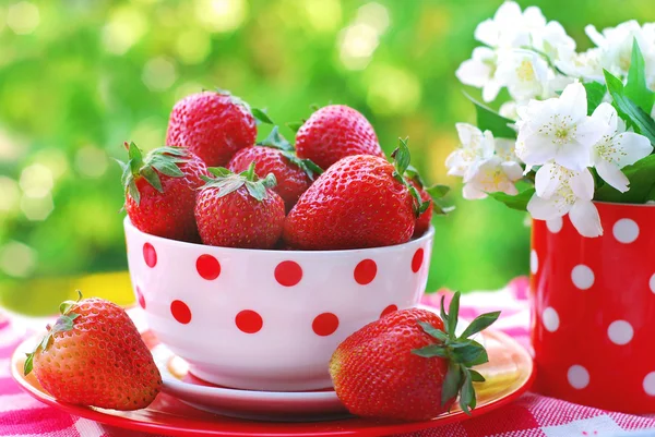 在碗中的新鲜草莓 — 图库照片