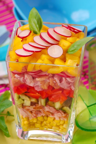 Цветной салат с курицей и овощами — стоковое фото