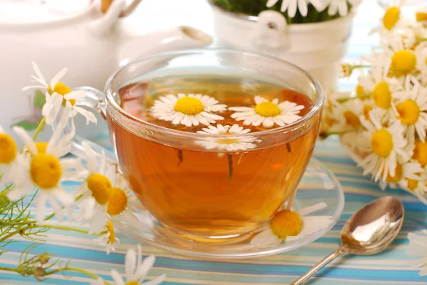 Ромашковый чай — стоковое фото
