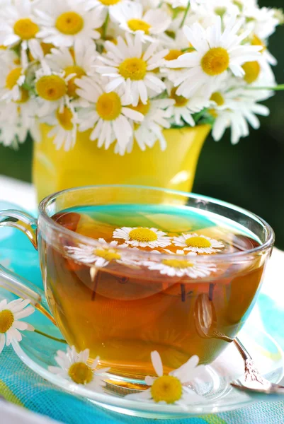 Chá de camomila — Fotografia de Stock