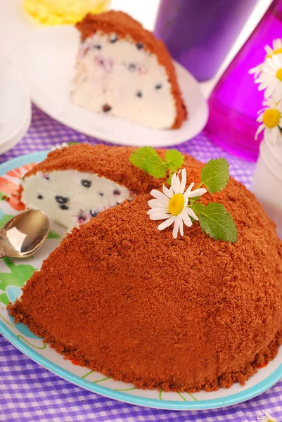 Blåbär kaka med choklad smulpaj toppning — Stockfoto