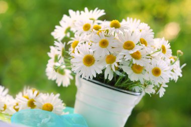 Bunch of chamomile clipart