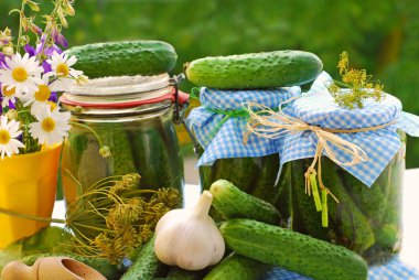 Jars of pickled cucumbers in the garden clipart