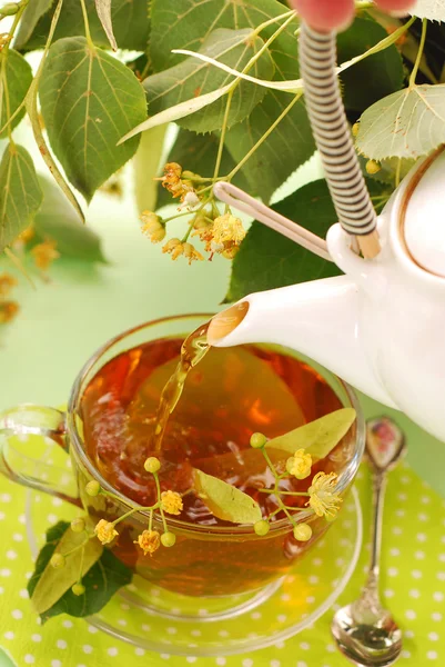 Pouring linden tea — Stock Photo, Image