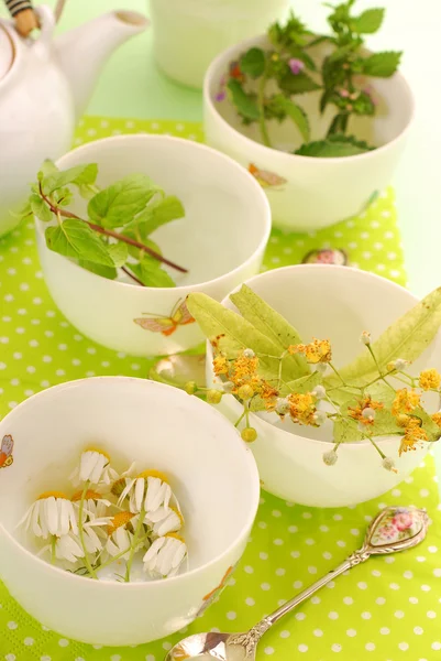 Cztery Puchary do przygotowania herbaty ziołowe — Zdjęcie stockowe