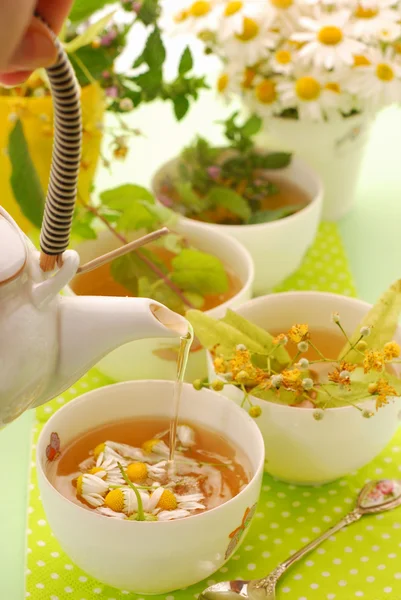 Pouring chamomile tea to cup — Stock Photo, Image