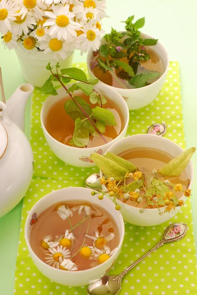Cztery filiżanki herbaty ziołowe — Zdjęcie stockowe