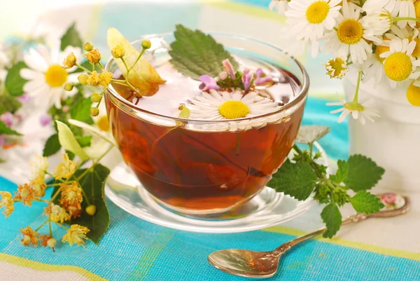 Glass of herbal tea — Stock Photo, Image