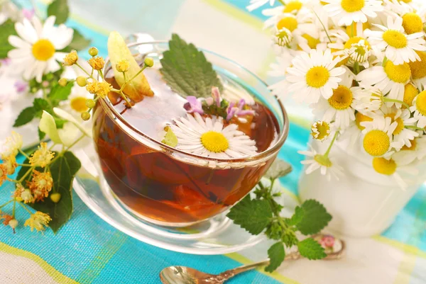 Glass of herbal tea — Stock Photo, Image