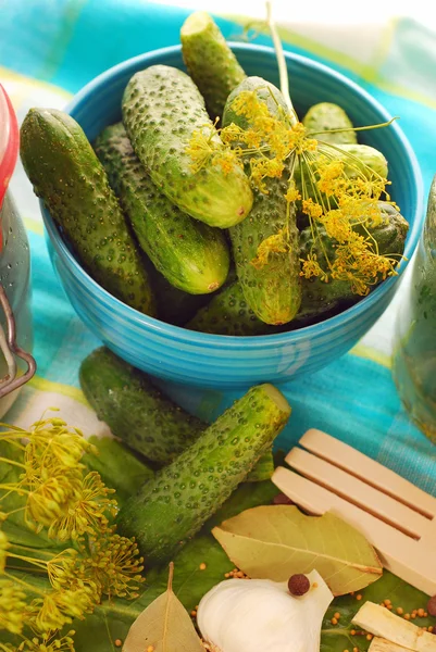 stock image Fresh cucumbers for preparing pickles