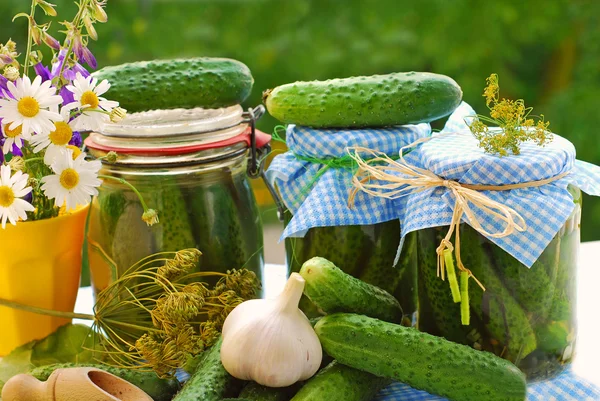 Jars of pickled cucumbers in the garden — Stock Photo, Image