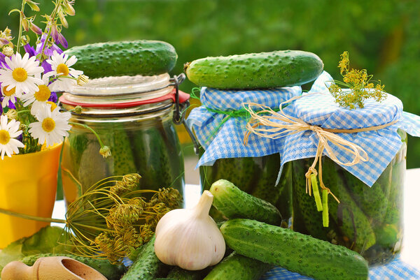 Jars of pickled cucumbers in the garden