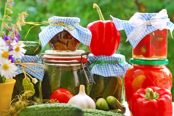 Jars of vegetable preserves in the garden — Stock Photo, Image