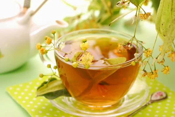 Linden tea in glass — Stock Photo, Image