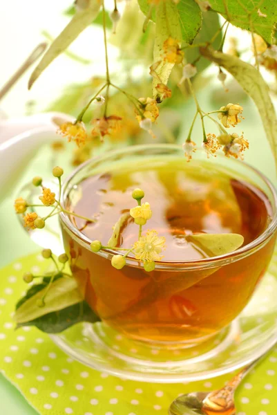 Herbata lipy w szkle — Zdjęcie stockowe