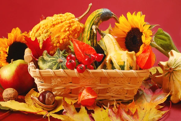 stock image Autumn decoration