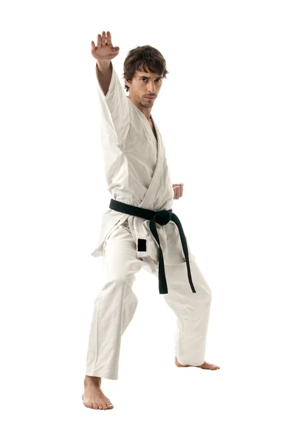 Karate combattente maschio giovane isolato su sfondo bianco Fotografia Stock