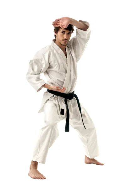 Karate macho luchador joven aislado sobre fondo blanco Imágenes de stock libres de derechos