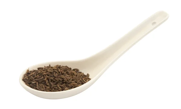 Cumin seeds in a ceramic spoon — Stock Photo, Image