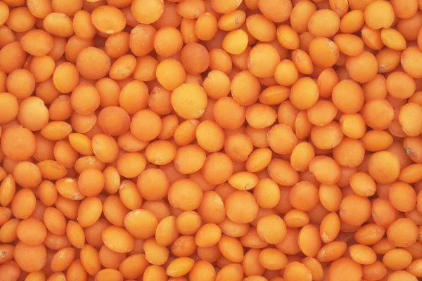 Red lentils background — Stock Photo, Image