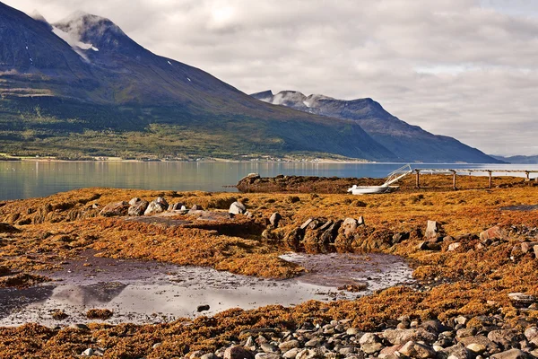 Hermoso paisaje en el norte de Noruega —  Fotos de Stock