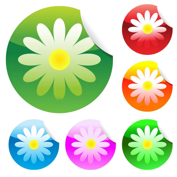 Floral stickers — Stock Vector