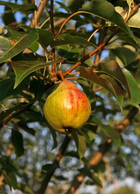 Armut Close-Up