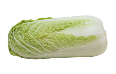 Napa cabbage, isolated on white clipart