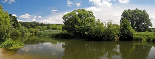 stock image Beautiful summer landscape (Panorama)