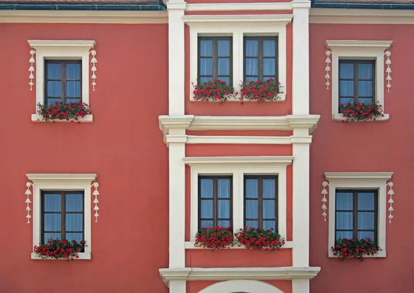 Stock image Red flowers in window