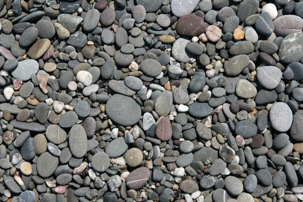 stock image Pebble background